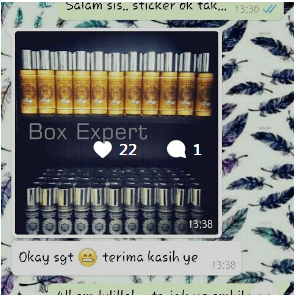 website box expert 10